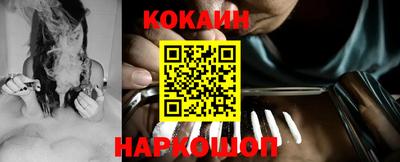 сатива Новозыбков