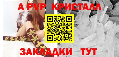 сатива Новозыбков