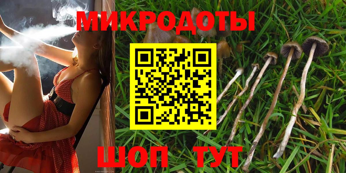 Галлюциногенные грибы прущие грибы  Псилоцибиновые грибы Psilocybe  Усинск  Вход с VPN 